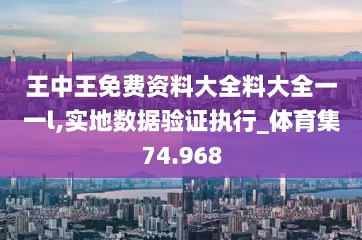 王中王免费资料大全料大全一一l,实地数据验证执行_体育集74.968