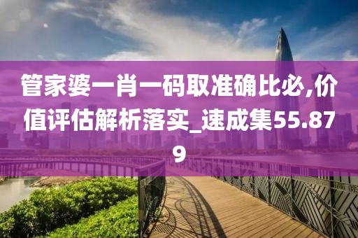 管家婆一肖一码取准确比必,价值评估解析落实_速成集55.879