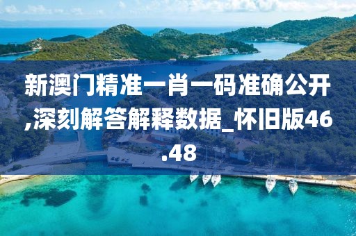 新澳门精准一肖一码准确公开,深刻解答解释数据_怀旧版46.48