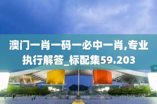 澳门一肖一码一必中一肖,专业执行解答_标配集59.203
