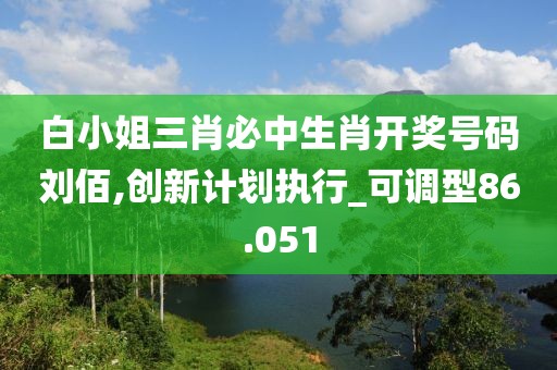 白小姐三肖必中生肖开奖号码刘佰,创新计划执行_可调型86.051