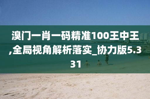 溴门一肖一码精准100王中王,全局视角解析落实_协力版5.331