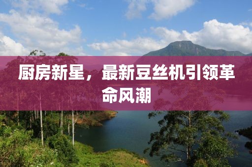 厨房新星，最新豆丝机引领革命风潮