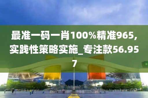 最准一码一肖100%精准965,实践性策略实施_专注款56.957