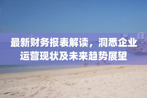 最新财务报表解读，洞悉企业运营现状及未来趋势展望