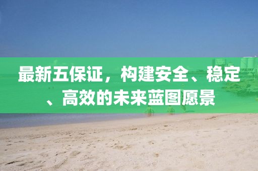 最新五保证，构建安全、稳定、高效的未来蓝图愿景