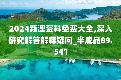 2024新澳资料免费大全,深入研究解答解释疑问_半成品89.541