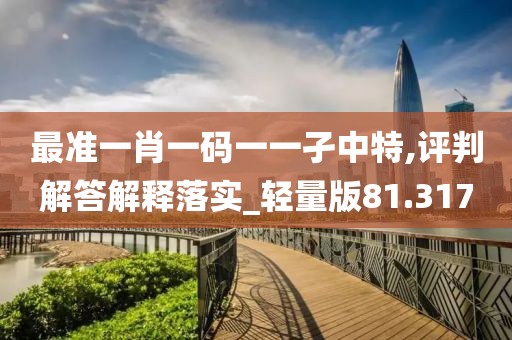 最准一肖一码一一孑中特,评判解答解释落实_轻量版81.317