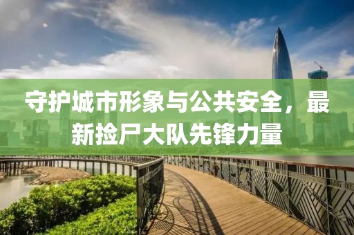 守护城市形象与公共安全，最新捡尸大队先锋力量