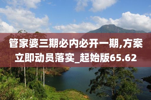 管家婆三期必内必开一期,方案立即动员落实_起始版65.62