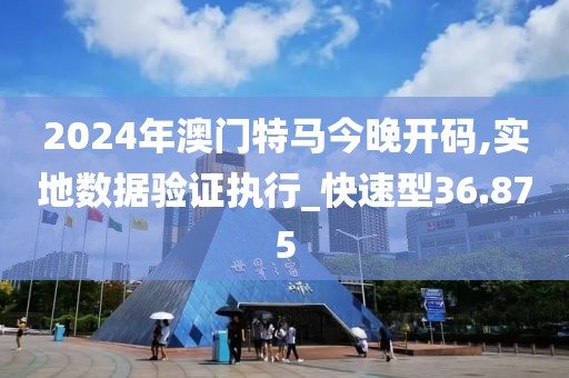 2024年澳门特马今晚开码,实地数据验证执行_快速型36.875