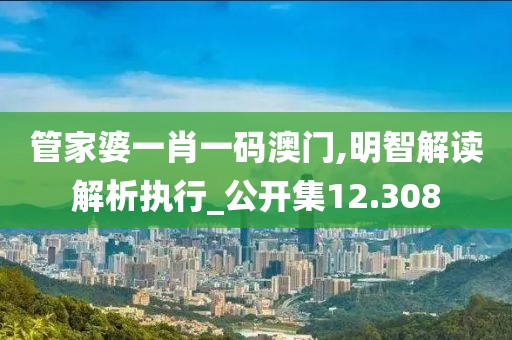 管家婆一肖一码澳门,明智解读解析执行_公开集12.308