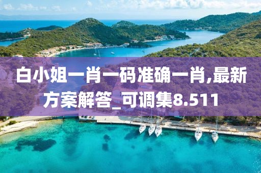 白小姐一肖一码准确一肖,最新方案解答_可调集8.511