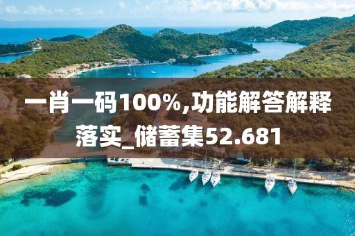 一肖一码100%,功能解答解释落实_储蓄集52.681