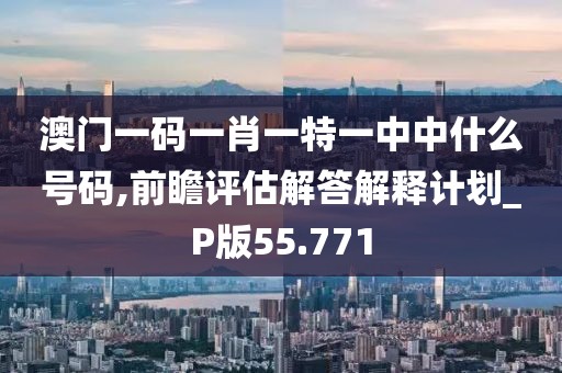 澳门一码一肖一特一中中什么号码,前瞻评估解答解释计划_P版55.771