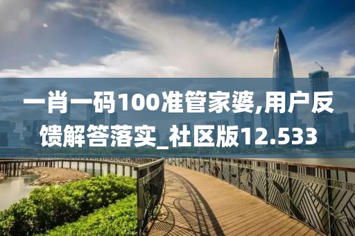 一肖一码100准管家婆,用户反馈解答落实_社区版12.533