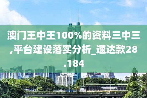 澳门王中王100%的资料三中三,平台建设落实分析_速达款28.184