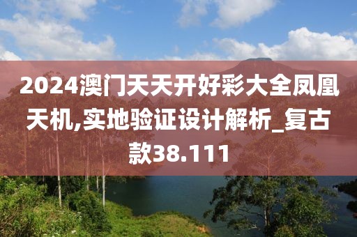 2024澳门天天开好彩大全凤凰天机,实地验证设计解析_复古款38.111