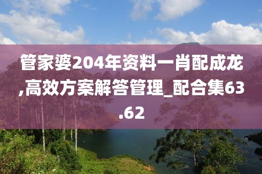管家婆204年资料一肖配成龙,高效方案解答管理_配合集63.62