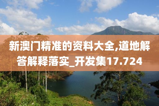 新澳门精准的资料大全,道地解答解释落实_开发集17.724