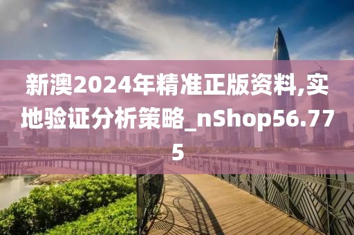 新澳2024年精准正版资料,实地验证分析策略_nShop56.775