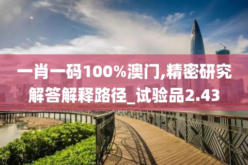 一肖一码100%澳门,精密研究解答解释路径_试验品2.43