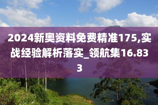 2024新奥资料免费精准175,实战经验解析落实_领航集16.833