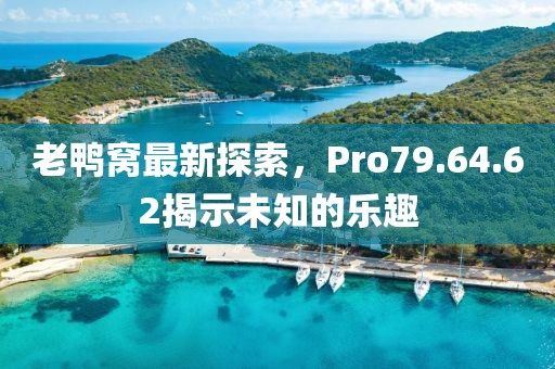 老鸭窝最新探索，Pro79.64.62揭示未知的乐趣
