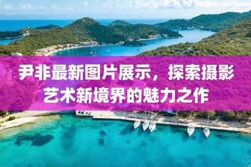 尹非最新图片展示，探索摄影艺术新境界的魅力之作