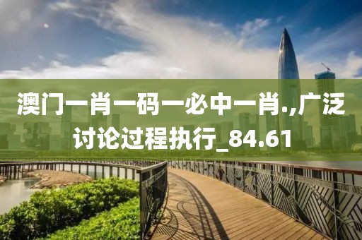 澳门一肖一码一必中一肖.,广泛讨论过程执行_84.61