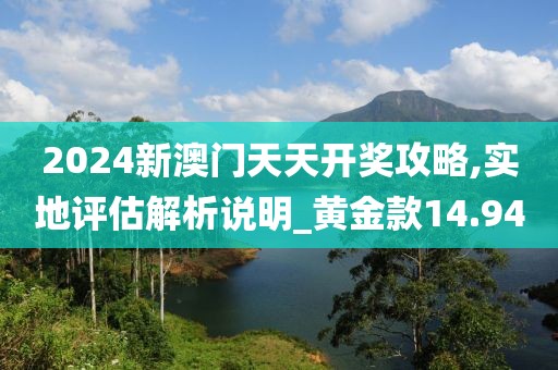 2024新澳门天天开奖攻略,实地评估解析说明_黄金款14.94