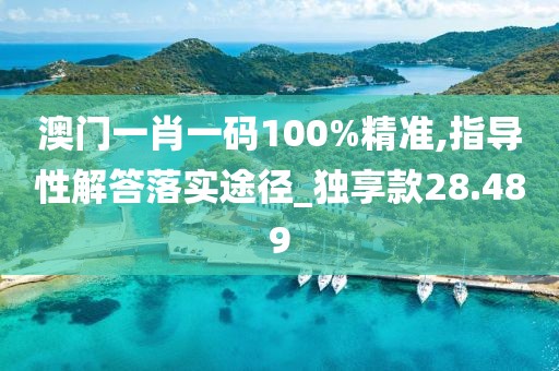 澳门一肖一码100%精准,指导性解答落实途径_独享款28.489