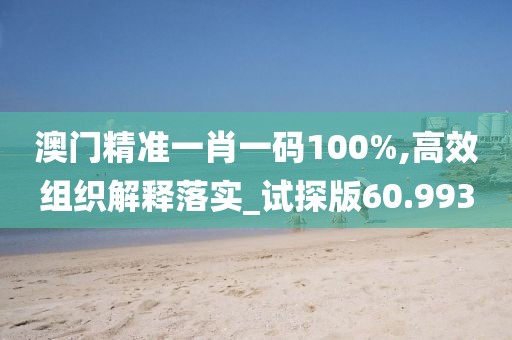 澳门精准一肖一码100%,高效组织解释落实_试探版60.993