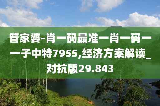 管家婆-肖一码最准一肖一码一一子中特7955,经济方案解读_对抗版29.843