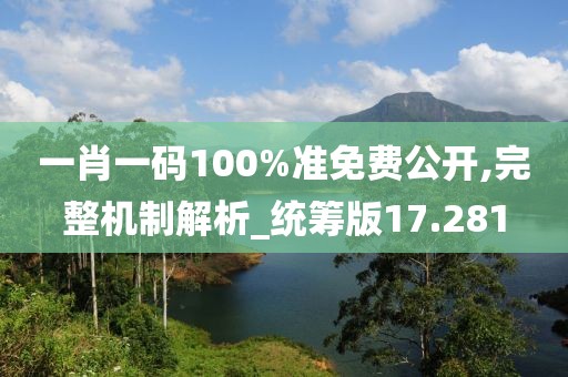 一肖一码100%准免费公开,完整机制解析_统筹版17.281