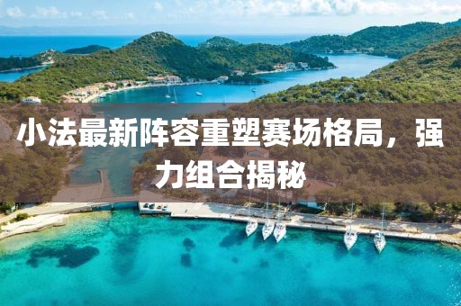 小法最新阵容重塑赛场格局，强力组合揭秘