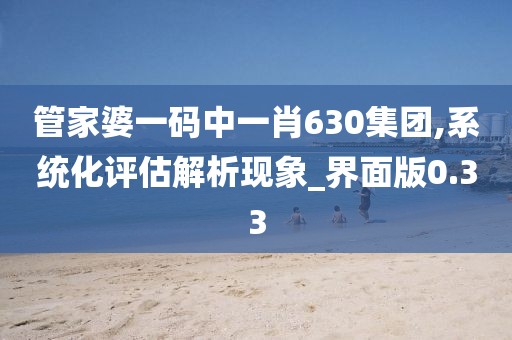 管家婆一码中一肖630集团,系统化评估解析现象_界面版0.33