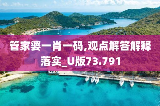 管家婆一肖一码,观点解答解释落实_U版73.791