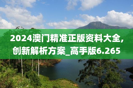 2024澳门精准正版资料大全,创新解析方案_高手版6.265