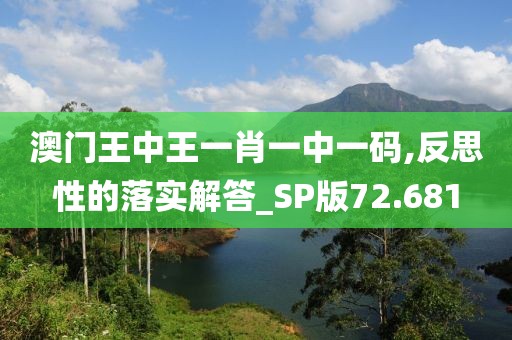 澳门王中王一肖一中一码,反思性的落实解答_SP版72.681