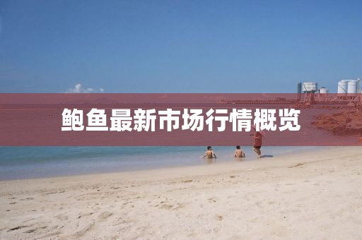 鲍鱼最新市场行情概览