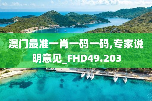 澳门最准一肖一码一码,专家说明意见_FHD49.203