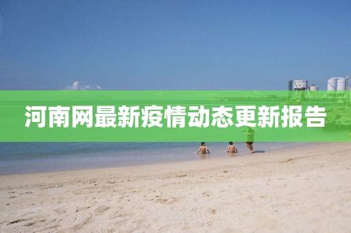 河南网最新疫情动态更新报告
