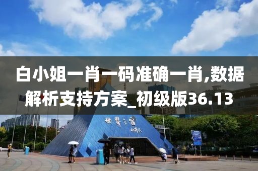 白小姐一肖一码准确一肖,数据解析支持方案_初级版36.13