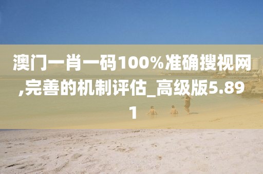 澳门一肖一码100%准确搜视网,完善的机制评估_高级版5.891