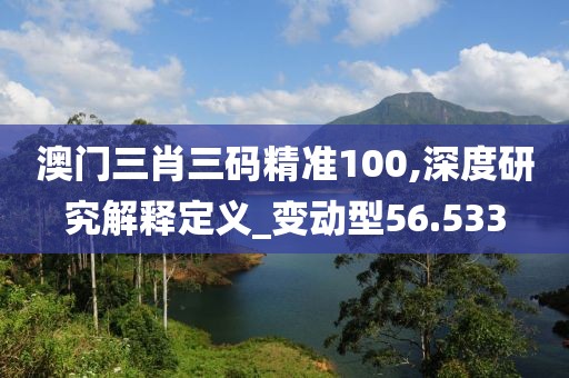 澳门三肖三码精准100,深度研究解释定义_变动型56.533