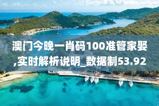 澳门今晚一肖码100准管家娶,实时解析说明_数据制53.92