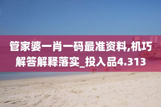 管家婆一肖一码最准资料,机巧解答解释落实_投入品4.313