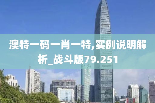 澳特一码一肖一特,实例说明解析_战斗版79.251