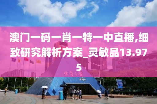 澳门一码一肖一特一中直播,细致研究解析方案_灵敏品13.975